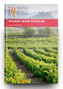 Italian Wine Scholar Unit 2